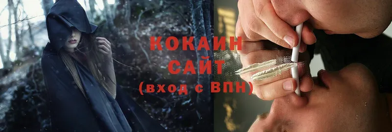 Cocaine FishScale  Бронницы 