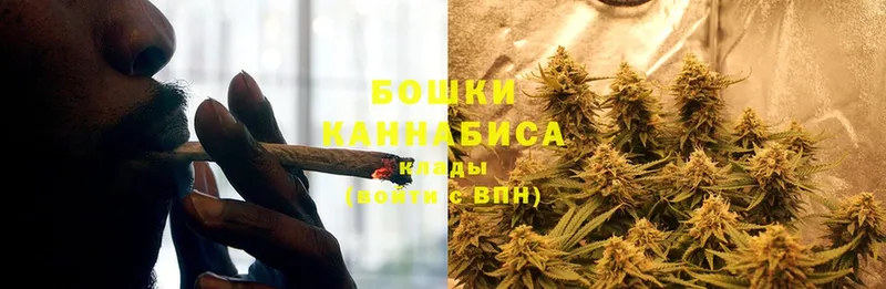 Конопля Bruce Banner  Бронницы 